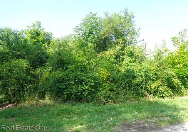 Photo 4 of Land for sale at 2143 Helen St, Detroit, MI 48207 | MLS# 60334749 | Listing updated on 2025-10-22