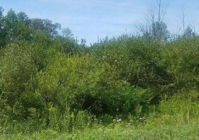 1st image of V/l S Marlene St, Rothbury, MI 49452 | MLS# 70528146
