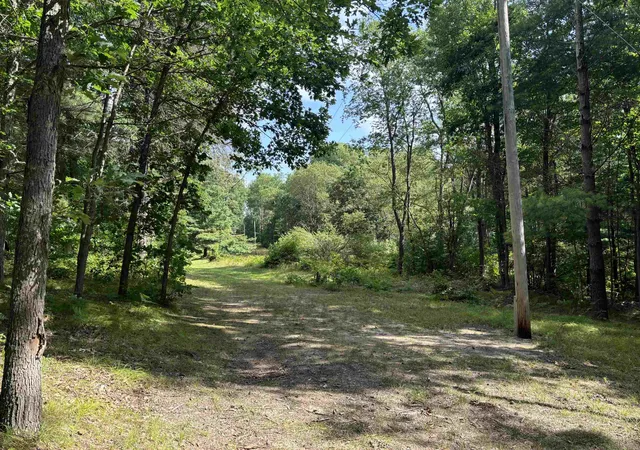 Photo 3 of Land for sale at 3110 W Adams Rd, Lake, MI 48632 | MLS# 50219316 | Listing updated on 2026-08-21