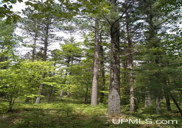 Homes for sale in Grand Marais, MI | 00 E County Road H58 Road, Grand Marais, MI 49839 | MLS# 50198471