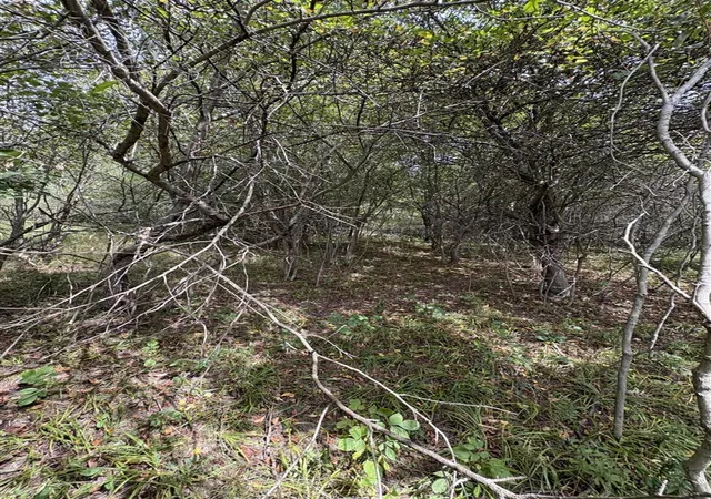 Homes for sale in Evart, MI | Lot 519 & 520 Lake Miramachi, Evart, MI 49631 | MLS# 70490495