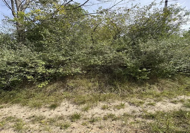 Homes for sale in Evart, MI | Lot 519 & 520 Lake Miramachi, Evart, MI 49631 | MLS# 70490495