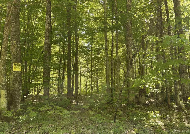 Photo 1 of Land for sale at Tbd Osborn Dr, Mc Millan, MI 49853 | MLS# 50210598 | Listing updated on 2026-07-29