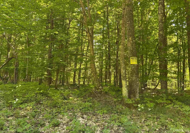 Photo 2 of Land for sale at Tbd Osborn Dr, Mc Millan, MI 49853 | MLS# 50210598 | Listing updated on 2026-07-29