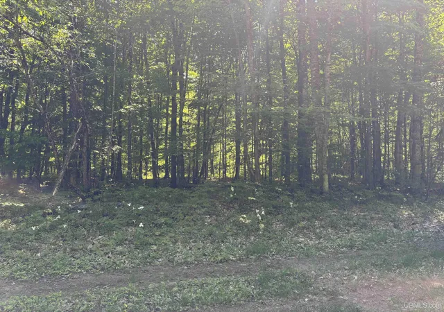 Photo 3 of Land for sale at Tbd Osborn Dr, Mc Millan, MI 49853 | MLS# 50210598 | Listing updated on 2026-07-29