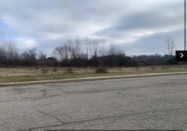 4th image of 2425 W Washington V/L Parcel C St, Greenville, MI 48838 | MLS# 70491140