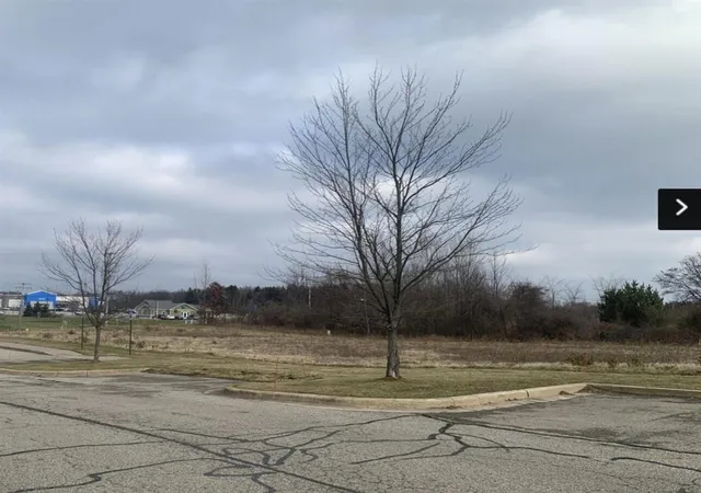 5th image of 2425 W Washington V/l Parcel C St, Greenville, MI 48838 | MLS# 70491140