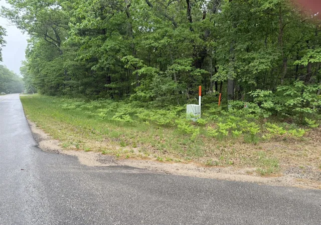 Homes for sale in Fountain, MI | V/l E Sandra Kay Rd, Fountain, MI 49410 | MLS# 70537218