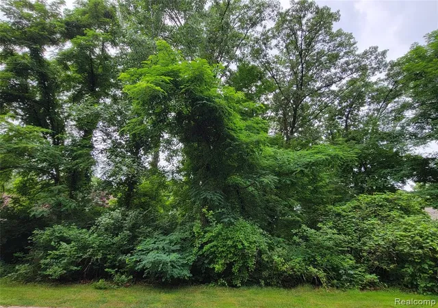 Photo 1 of Land for sale at Lot 41   Pinemont, Brighton, MI 48116 | MLS# 20682085 | Listing updated on 2026-03-27