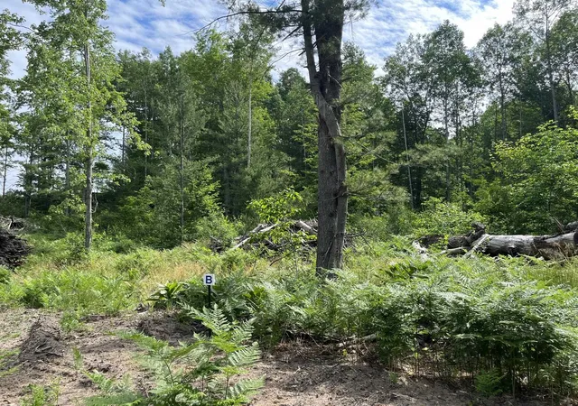 Photo 3 of Land for sale at Parcel B Hoosier Flats Rd, Traverse City, MI 49685 | MLS# 80072233 | Listing updated on 2026-08-15