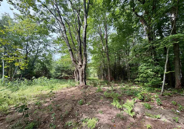 Photo 3 of Sale Pending at 8189 County Road 385 Road, Newberry, MI 49868 | MLS# 50219563 | Listing updated on 2026-09-01