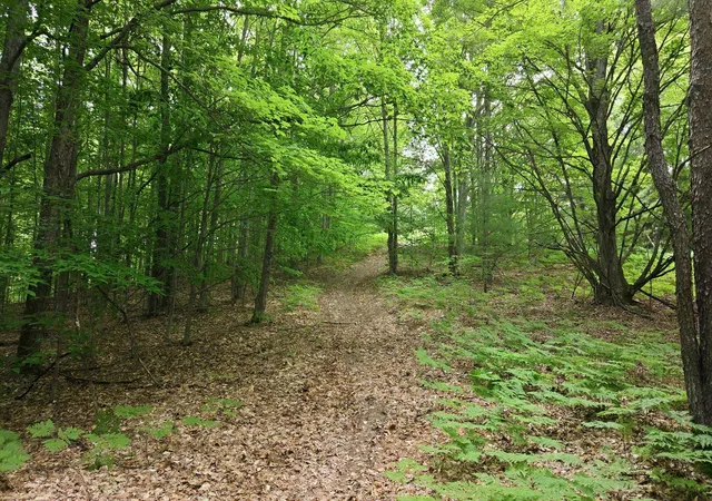Photo 1 of Land for sale at 3982 Se Mitchell Rd, Kalkaska, MI 49646 | MLS# 80070053 | Listing updated on 2026-09-12