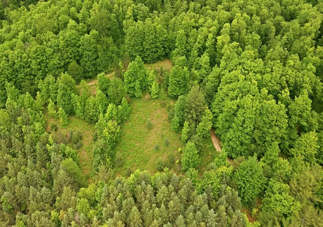 Photo 2 of Land for sale at 3982 Se Mitchell Rd, Kalkaska, MI 49646 | MLS# 80070053 | Listing updated on 2026-09-12
