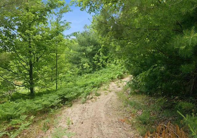 Photo 3 of Land for sale at 3982 Se Mitchell Rd, Kalkaska, MI 49646 | MLS# 80070053 | Listing updated on 2026-09-12