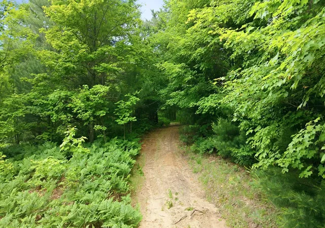 Photo 3 of Land for sale at 3982 SE Mitchell Rd, Kalkaska, MI 49646 | MLS# 80070053 | Listing updated on 2026-09-12