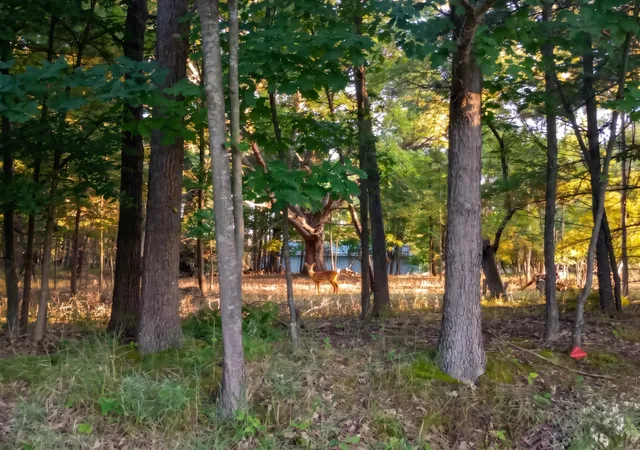 1st image of Lot 234 Kings Wy, Gladwin, MI 48624 | MLS# 50219739