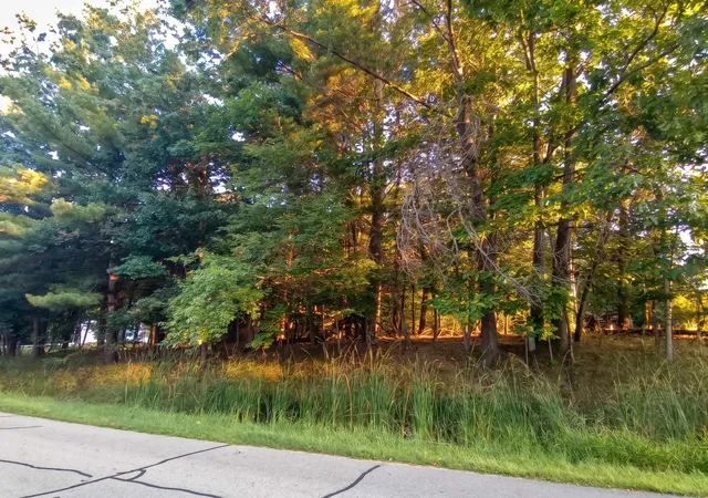 2nd image of Lot 234 Kings Wy, Gladwin, MI 48624 | MLS# 50219739