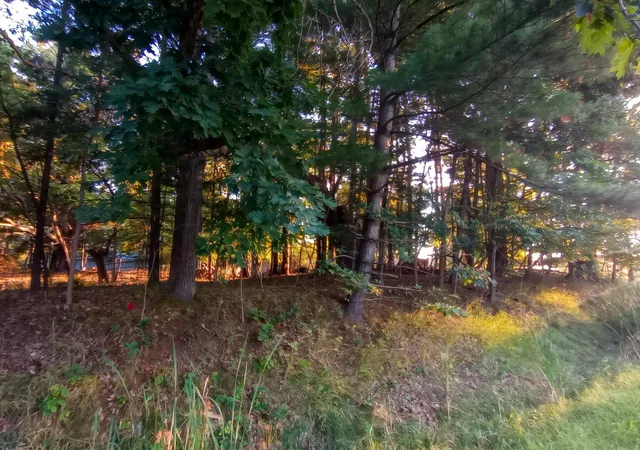 3rd image of Lot 234 Kings Wy, Gladwin, MI 48624 | MLS# 50219739