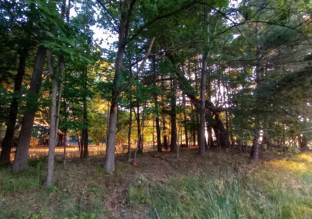 4th image of Lot 234 Kings Wy, Gladwin, MI 48624 | MLS# 50219739