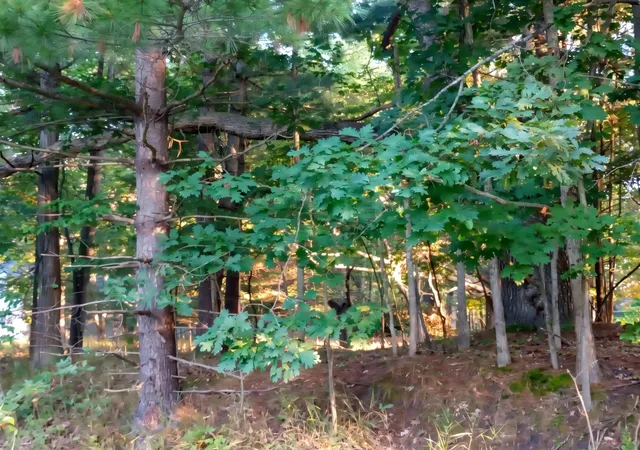 5th image of Lot 234 Kings Wy, Gladwin, MI 48624 | MLS# 50219739