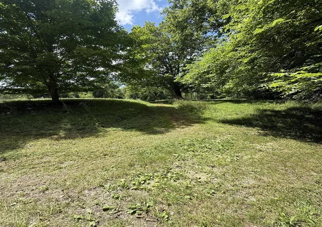 Photo 4 of Land for sale at 63518 Day Lake Rd, Cassopolis, MI 49031 | MLS# 70547563 | Listing updated on 2026-08-26