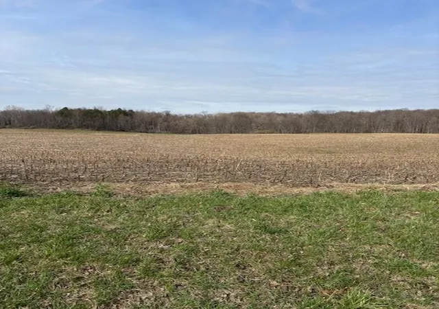 image of Warren Woods Rd, Galien, MI 49113 | MLS# 70509575
