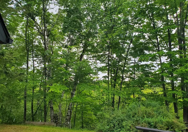 Homes for sale in Saint Helen, MI | 9507 Washington Rd, Saint Helen, MI 48656 | MLS# 80070349