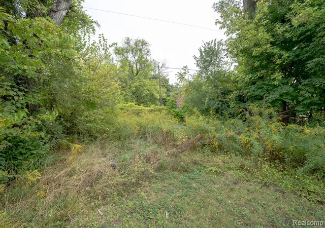 5th image of 6913 Benson St, Detroit, MI 48207 | MLS# 60940354