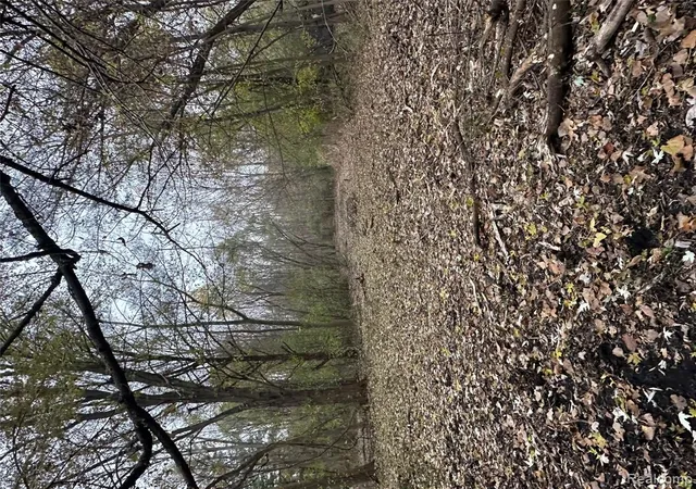 Photo 5 of Land for sale at 7380 Southfield Dr, Shelby Twp, MI 48316 3516 | MLS# 61004931 | Listing updated on 2026-09-02