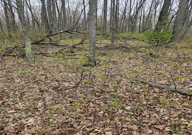 Photo 2 of Sale Pending at Lot 7 Standel Ln, Harrison, MI 48625 | MLS# 50208013 | Listing updated on 2026-05-26