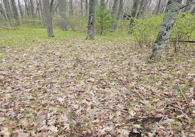 Photo 3 of Sale Pending at Lot 7 Standel Ln, Harrison, MI 48625 | MLS# 50208013 | Listing updated on 2026-05-26