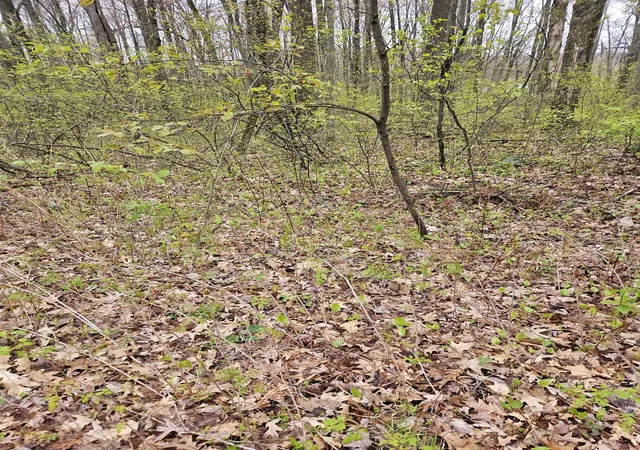 Photo 4 of Sale Pending at Lot 7 Standel Ln, Harrison, MI 48625 | MLS# 50208013 | Listing updated on 2026-05-26