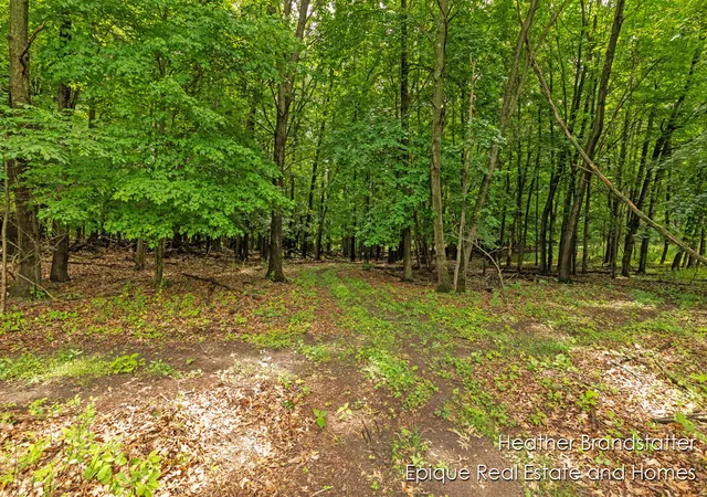 Photo 3 of Land for sale at 4323 Woodside Oaks Dr, Grand Rapids, MI 49546 | MLS# 70399798 | Listing updated on 2026-01-06