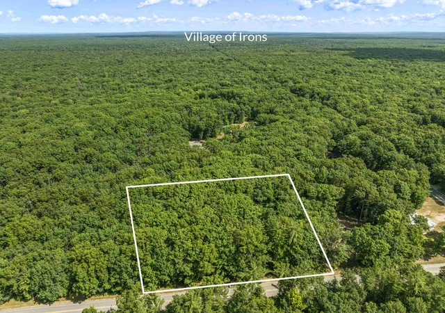 Land for sale at 6098 W 9 Mile Rd, Irons, MI 49644 | MLS# 80071536