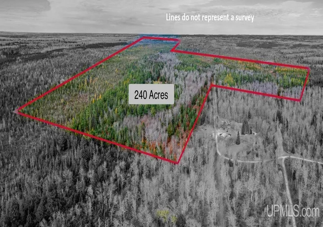 Photo 2 of Single family home for sale at 240 Acres Long Lake Rd, Wetmore, MI 49895 | MLS# 50192897 | Listing updated on 2026-07-28