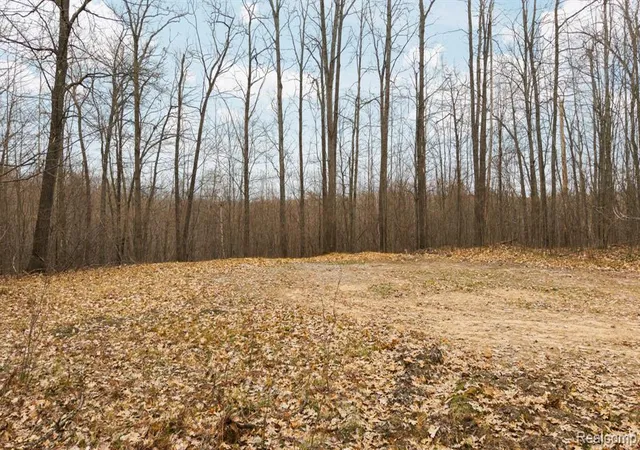 Homes for sale in West Branch, MI | 00 N Fairview Rd, West Branch, MI 48661 | MLS# 60953997