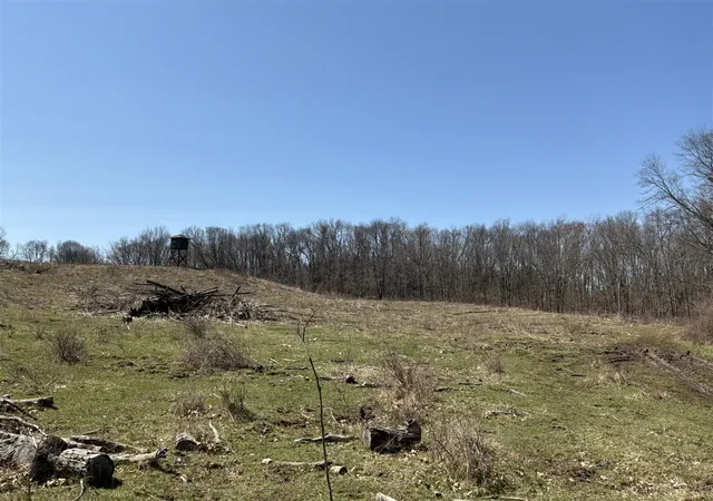 4th image of Vl Wellman Rd, Parma, MI 49269 | MLS# 70521296