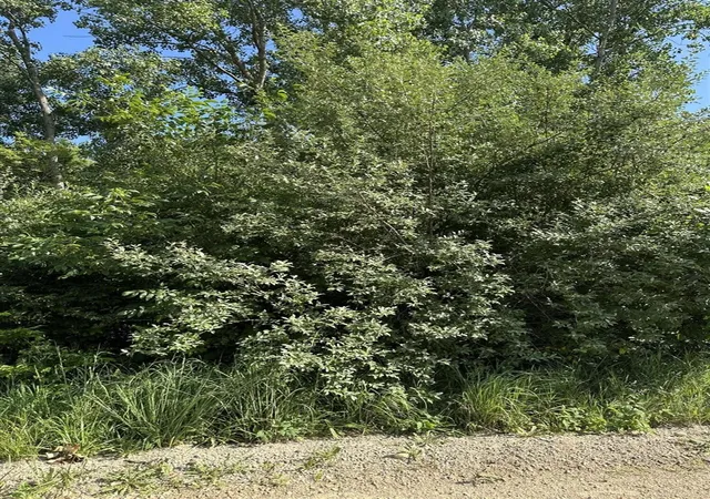 Land for sale at 11820 Penlawn Dr, Jerome, MI 49249-9770 | MLS# 70543352