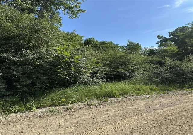 Photo 2 of Land for sale at 11820 Penlawn Dr, Jerome, MI 49249 | MLS# 70543352 | Listing updated on 2026-09-17