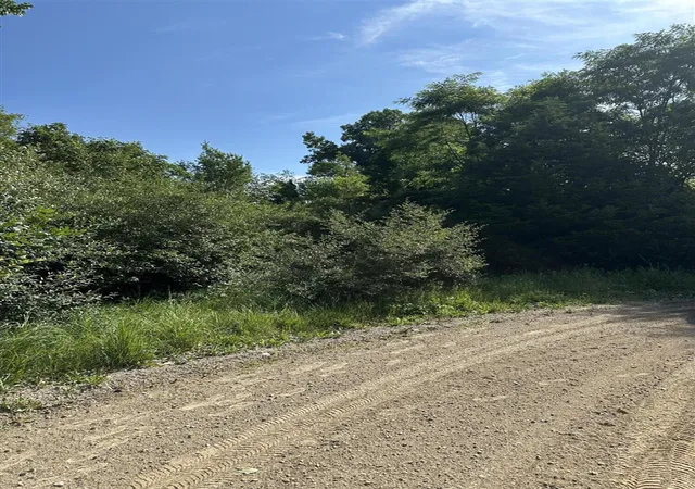 Photo 3 of Land for sale at 11820 Penlawn Dr, Jerome, MI 49249 | MLS# 70543352 | Listing updated on 2026-09-17