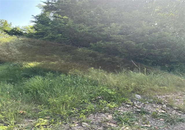 Photo 3 of Land for sale at 11820 Penlawn Dr, Jerome, MI 49249 | MLS# 70543352 | Listing updated on 2026-09-17
