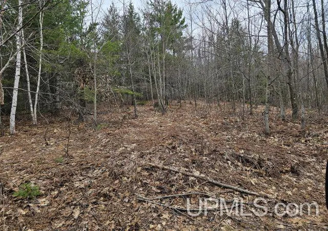 Photo 1 of Land for sale at 40 Acres Off Co Rd Gx, Ishpeming, MI 49849 | MLS# 50214870 | Listing updated on 2026-07-14