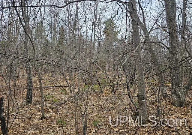 Photo 2 of Land for sale at 40 Acres Off Co Rd Gx, Ishpeming, MI 49849 | MLS# 50214870 | Listing updated on 2026-07-14