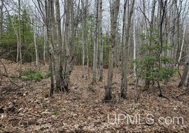 Photo 4 of Land for sale at 40 Acres Off Co Rd Gx, Ishpeming, MI 49849 | MLS# 50214870 | Listing updated on 2026-07-14