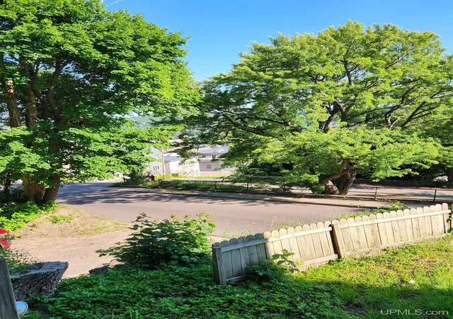 Photo 4 of Single family home for sale at 205 White St, Hancock, MI 49930 | MLS# 50215042 | Listing updated on 2026-08-12