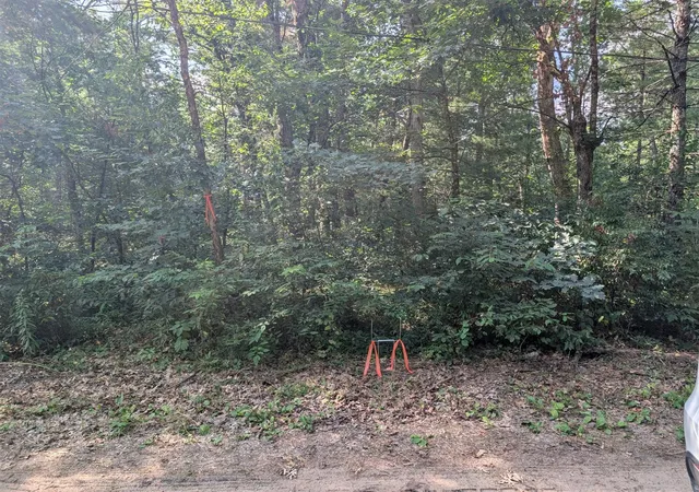 Photo 1 of Land for sale at Vl Lewis St, Baldwin, MI 49304 | MLS# 70550392 | Listing updated on 2026-08-12