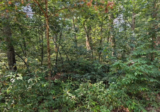 Photo 2 of Land for sale at Vl Lewis St, Baldwin, MI 49304 | MLS# 70550392 | Listing updated on 2026-08-12