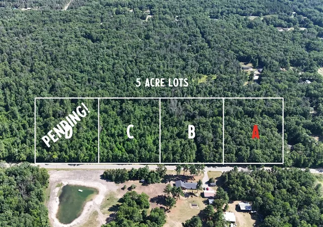 Homes for sale in Howard City, MI | A W Almy Rd, Howard City, MI 49329 | MLS# 70479317