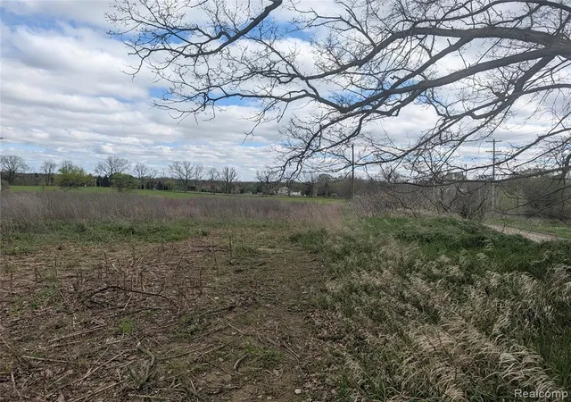 3rd image of Parcel #06-18-3 Hogan Rd, Linden, MI 48451 | MLS# 60988450