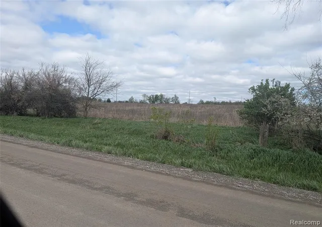 4th image of Parcel #06-18-3 Hogan Rd, Linden, MI 48451 | MLS# 60988450